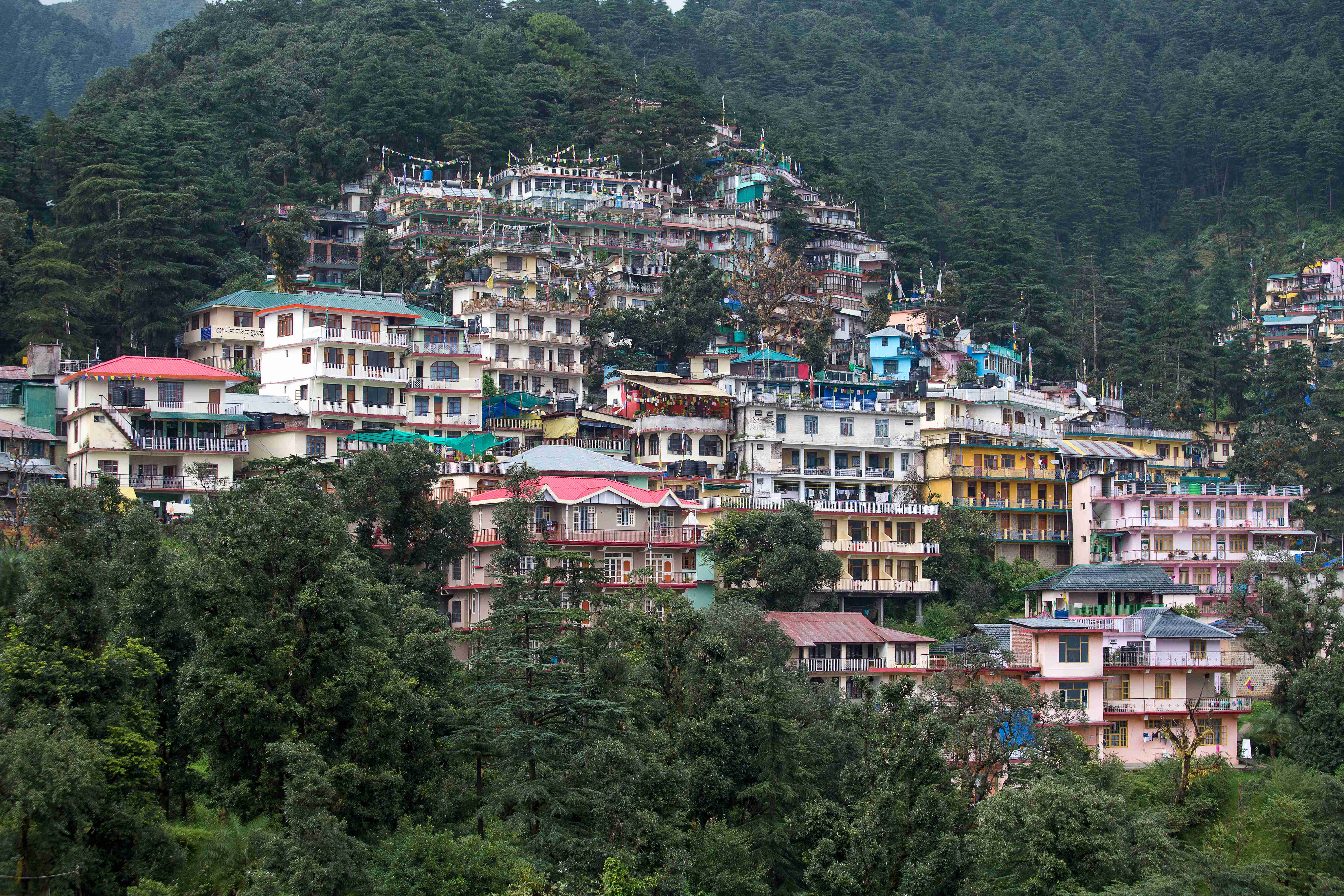 la-trans-himalayenne-de-dharamsala-au-petit-tibet